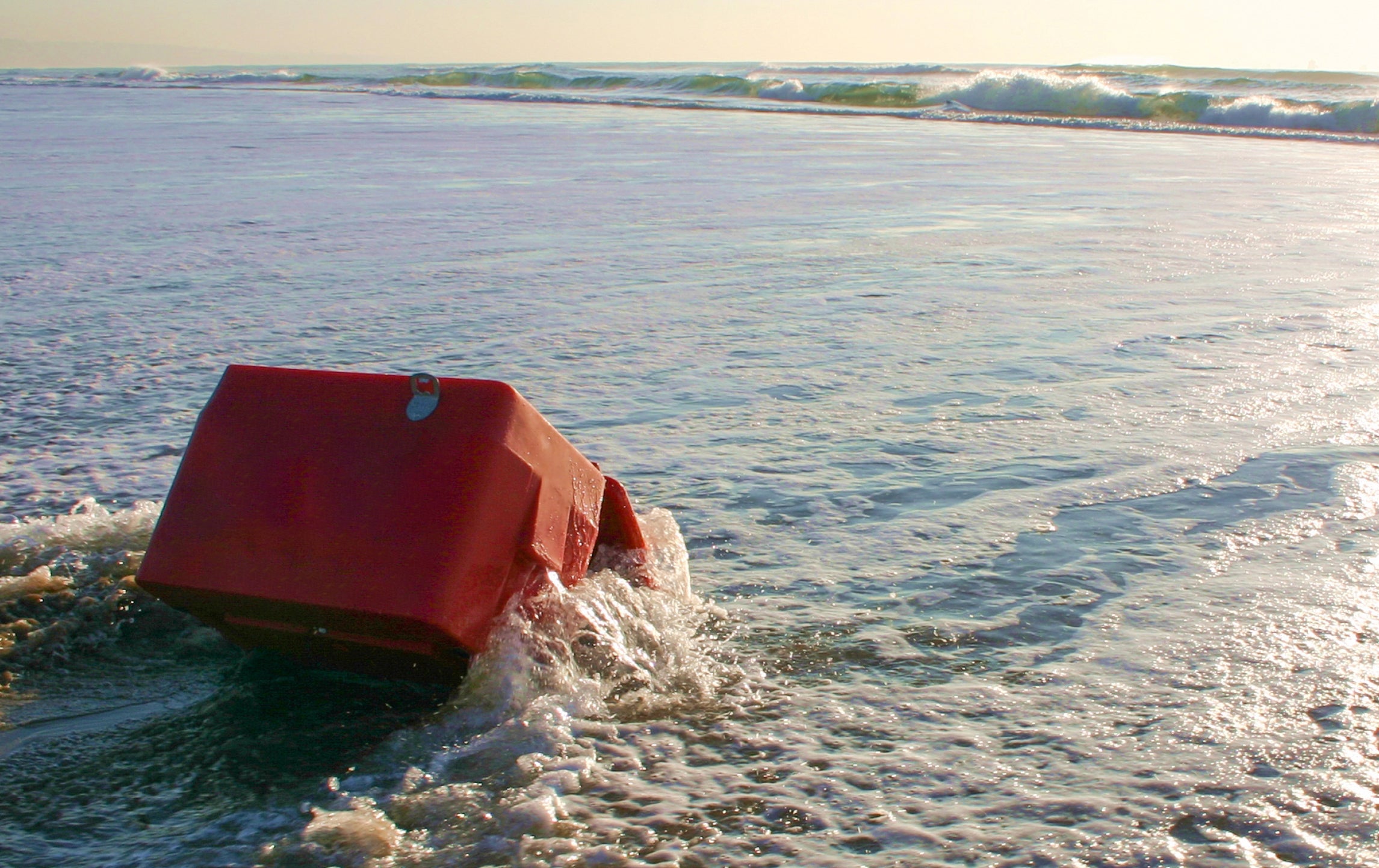 Rogue Ice Coolers - Washed up on the beach